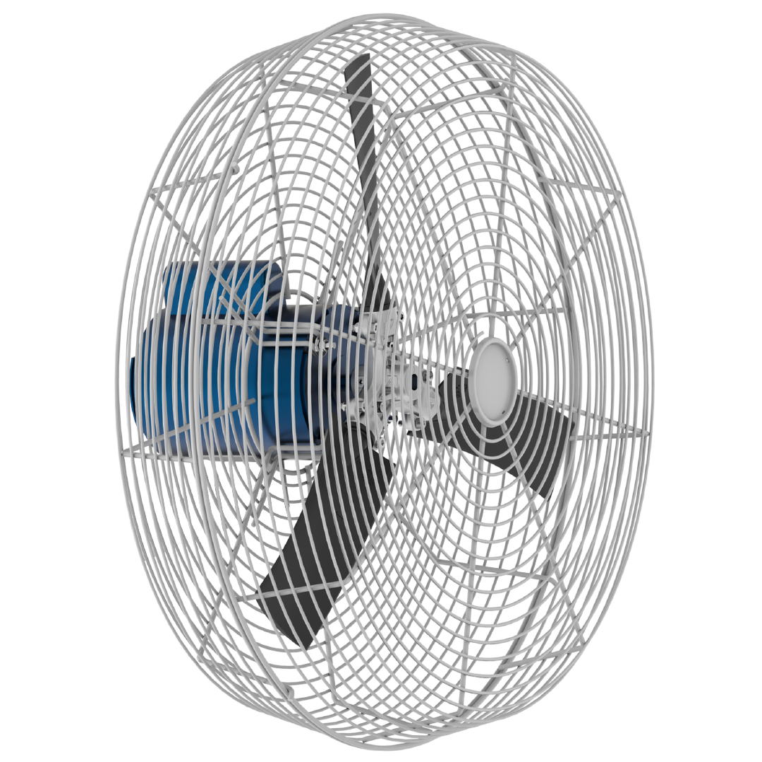 Basket Fan 24 Direct Drive